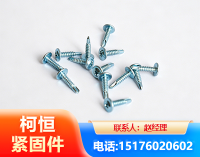 黔东南华司钻尾丝