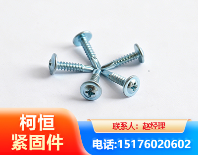 黔东南华司钻尾丝