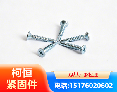 黔东南平头钻尾丝