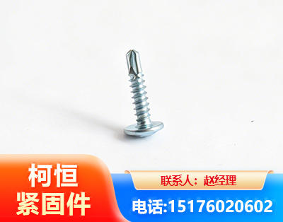 黔东南华司钻尾丝